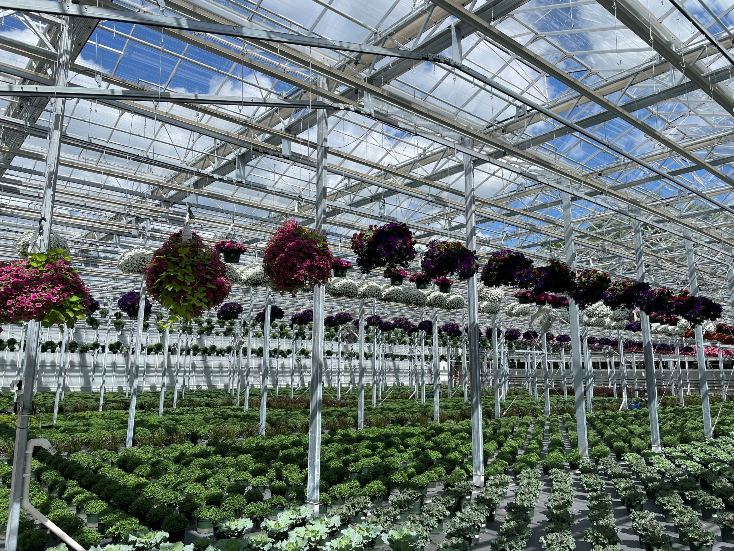 Estabrook’s Farm & Greenhouses – Family Business Spotlight / Business After Hours